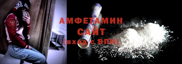 тгк Инсар