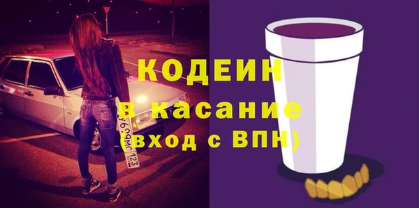 тгк Инсар