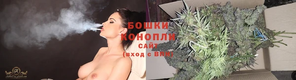 тгк Инсар