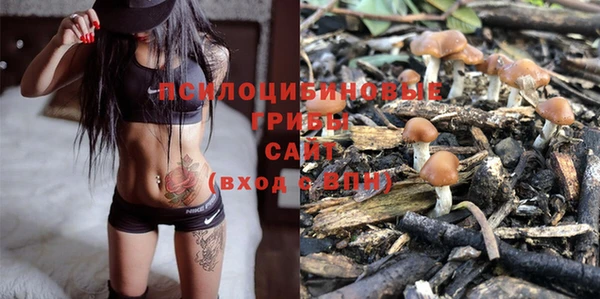 тгк Инсар