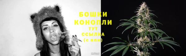 тгк Инсар