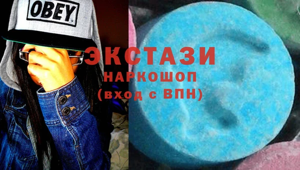 тгк Инсар
