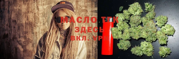тгк Инсар