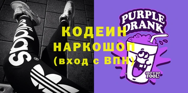 тгк Инсар