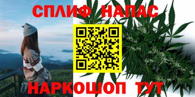 индика Изобильный