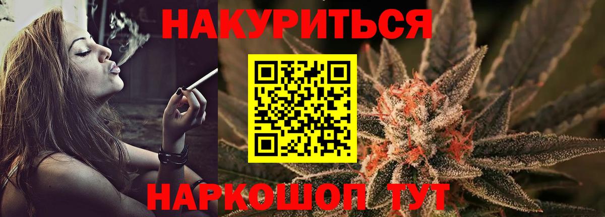 Конопля индика Славгород